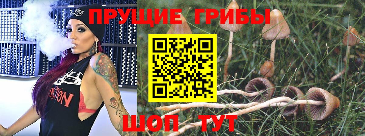 Сухой Лог  Псилоцибиновые грибы мухоморы  где купить наркоту  Вход с VPN 